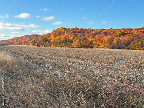 autumn in the floodplains and crop fields of Missouri