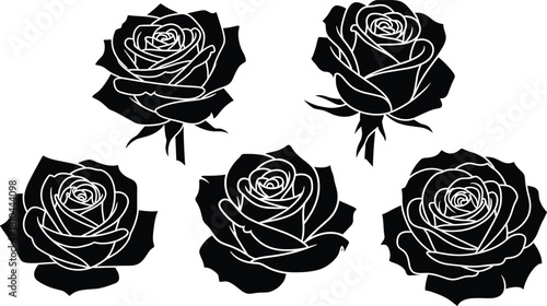 Bold black and white rose silhouette collection, detailed floral vector illustration set, elegant botanical flower shapes for decorative design, tattoo art, graphic elements