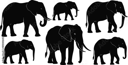 Elephant silhouette vector set, African wild animal collection, big mammal walking and standing, safari nature illustration isolated on white background, zoo graphics.