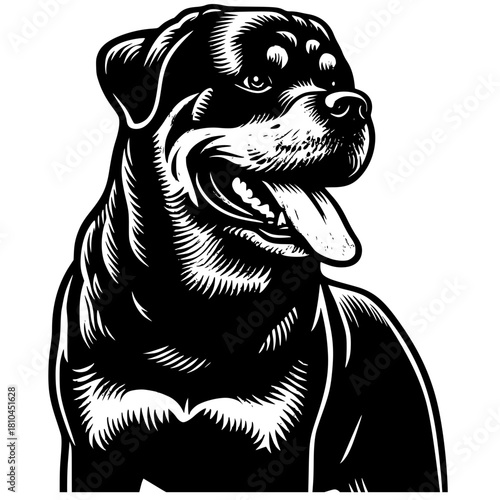 Illustration of a cute Rottweiler