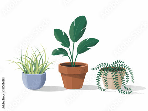 A vibrant illustration of three indoor plants, showcasing unique shapes and textures, presented in colorful pots that enhance any interior space beautifully and stylishly.