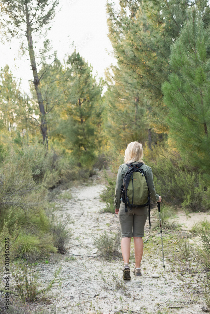 Obraz premium Green backpack and trekking pole resting on narrow sandy trail through pine trees