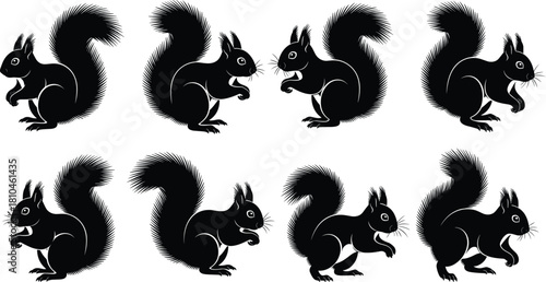 Squirrel silhouette vector set, cute forest animal collection, black and white rodent illustration isolated on white background, nature wildlife character design.