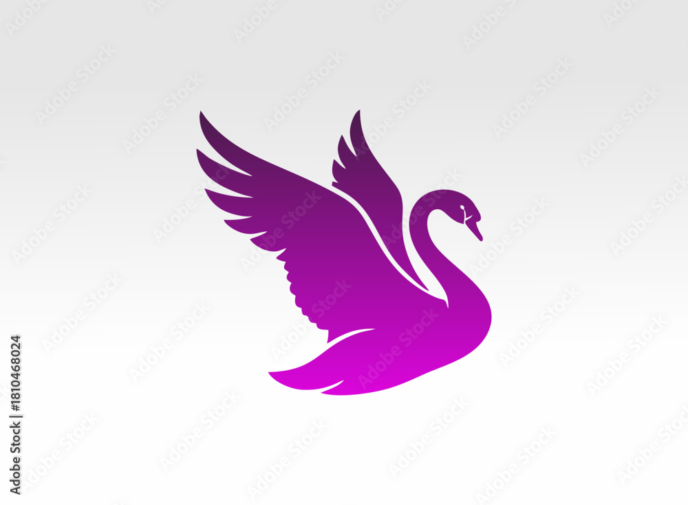 Fototapeta premium swans vector illustration