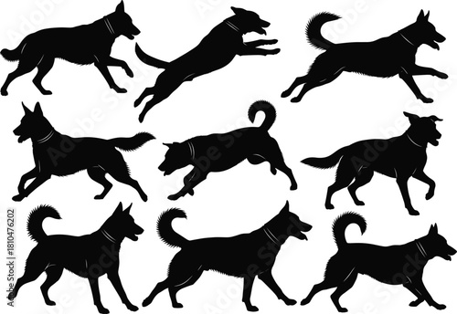Multiple dog running silhouettes in active motion, domestic pet canine poses, playful energetic animal vector graphic,