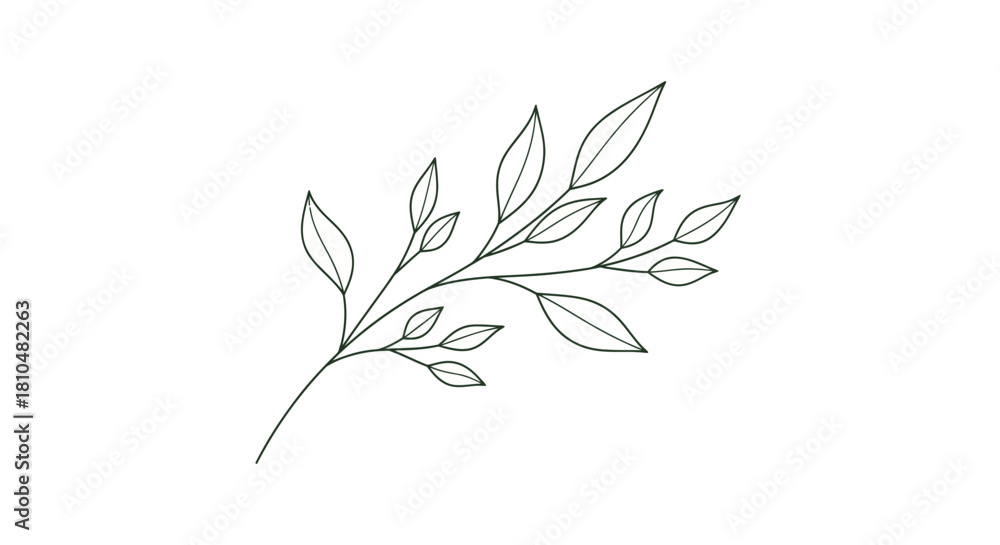Fototapeta premium Minimalist line art illustration of a delicate leafy branch, perfect for botanical designs and natural themes.