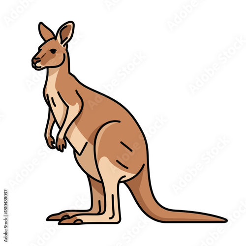 Cartoon kangaroo standing isolated on white background