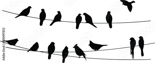 Silhouette illustration of multiple birds perched on wires with one bird in flight, minimalist natural scene ideal for decorative design and creative projects