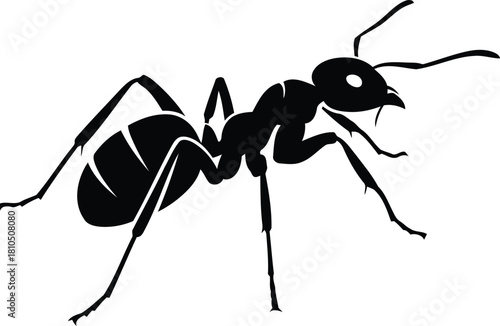 Silhouette of a black ant isolated on a plain background a small insect with distinct body parts and antennae ideal for conceptual graphics. vector