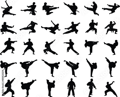 Silhouette collection of martial arts fighters performing dynamic kicks, punches, and combat stances, showcasing karate, taekwondo, self-defense moves, training action poses