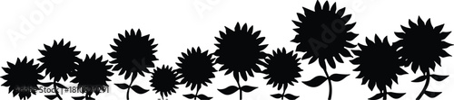Silhouette illustration of blooming sunflowers arranged in a decorative row, featuring floral shapes, botanical elements, garden plants, and natural nature-inspired design,
