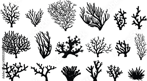 Collection of coral silhouette illustrations featuring diverse underwater marine shapes, ocean botanical elements, sea plant designs, and natural reef graphics for creative projects
