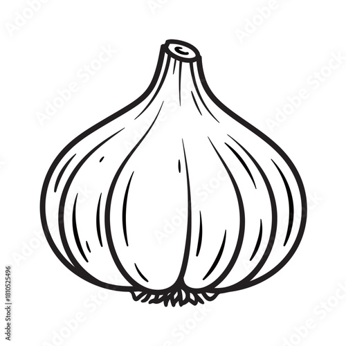 Fresh Whole and Peeled Garlic Cloves Isolated on a White Background for Cooking and Health.