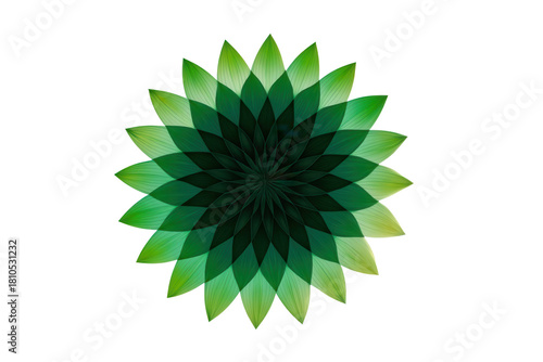 This image features a symmetrical pattern of overlapping green leaves creating a vibrant floral shape
