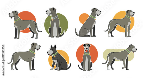 Irish wolfhound poses with colored circles