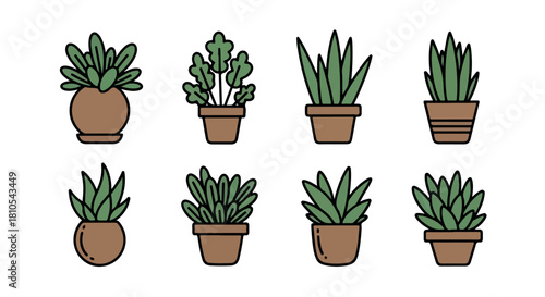 Potted plants collection in brown ceramic pots