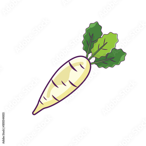 Cute cartoon illustration of a fresh white radish or daikon with green leaves