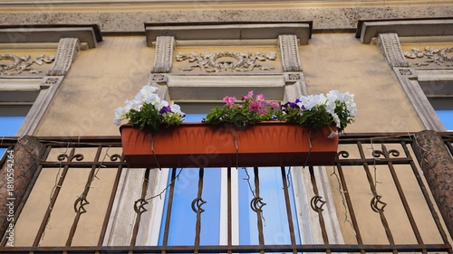 Obraz na plátně Colorful flowers in a planter box attached to a balcony railing of an old decorative building