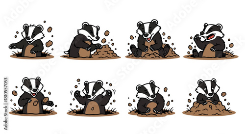 Badger digging in dirt, multiple poses