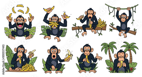 Playful monkey eating bananas in jungle scenes