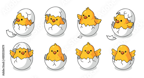 Baby chicks hatching from eggs with transparent background
