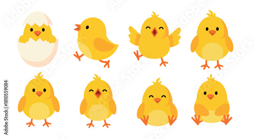 Yellow chicks in various poses with transparent background