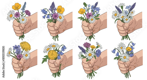 Hands holding wildflowers and herbs collection