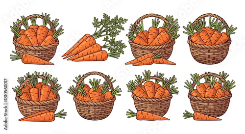 Carrots in baskets with fresh greenery