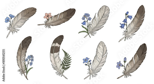 Baklava sweets assortment with transparent background