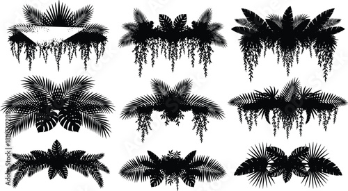 Set of nine black tropical palm leaf silhouettes with hanging vines, vector illustration of jungle foliage, nature design elements isolated on white background.