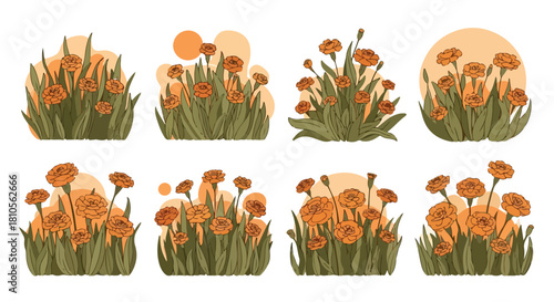 Orange carnation flower bouquets in a flat style