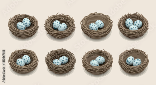 Bird nests with speckled eggs, springtime scene