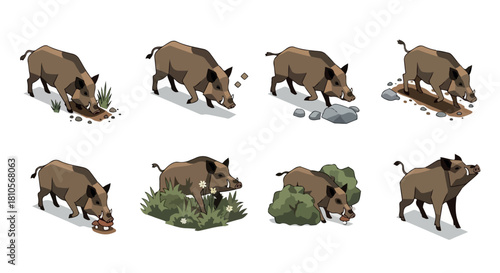 Wild boar foraging in natural habitat