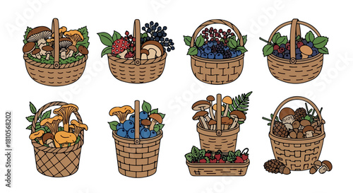 Baskets filled with mushrooms, berries, and nuts