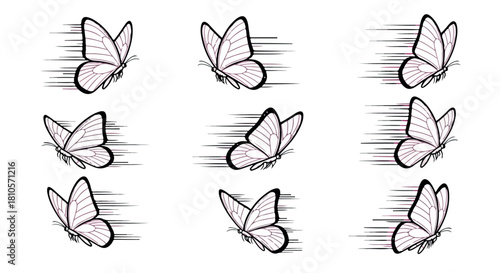 Flying butterflies in motion with transparent background