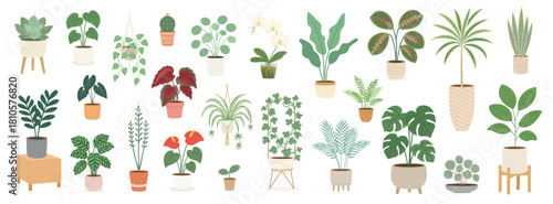 Cozy houseplants collection showcases diverse indoor greenery from monstera to ivy, creating fresh botanical mood, balanced textures, calming natural energy, stylish houseplants set