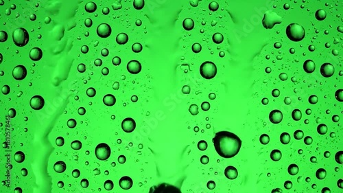 Wallpaper Mural Emerald-green backdrop with numerous water droplets of various sizes creates a mesmerizing effect Torontodigital.ca