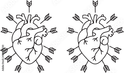 Anatomical Heart SVG