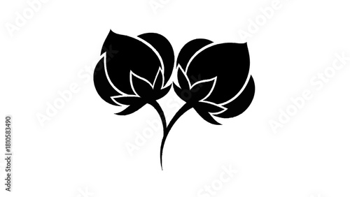 Vector illustration of black and white silhouette icon of two cotton flower boll branches growing together isolated on transparent background 
