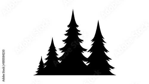 Vector illustration of silhouette of three evergreen pine tree shapes in varying height, isolated on transparent background 