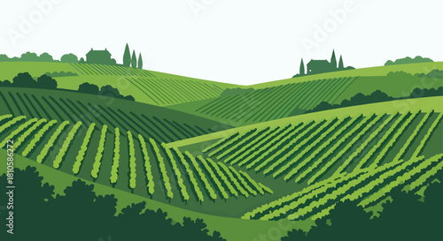 Flat Design Green Vineyard Landscape with Farmhouse and Rolling Hills Scenery