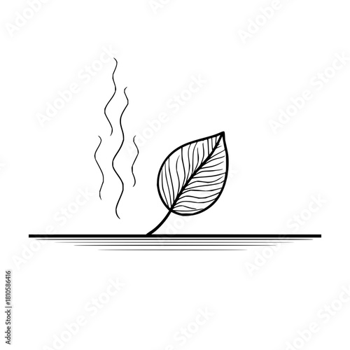 Unveiling nature's secrets: a delicate leaf and the whispers of the wind in a minimalist masterpiece