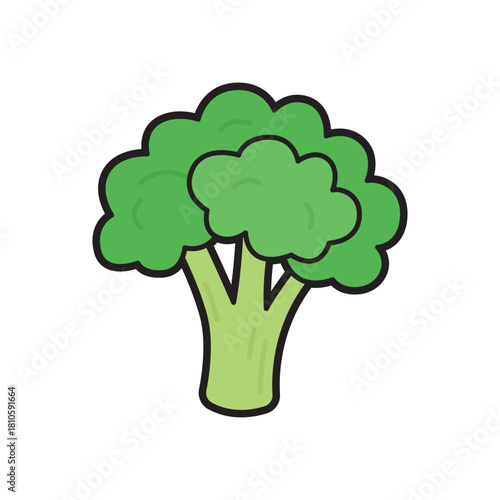 Broccoli with a light green stem adds vibrancy to meals. Suitable for health, nutrition, cooking, and food related content. Vegan Friendly.