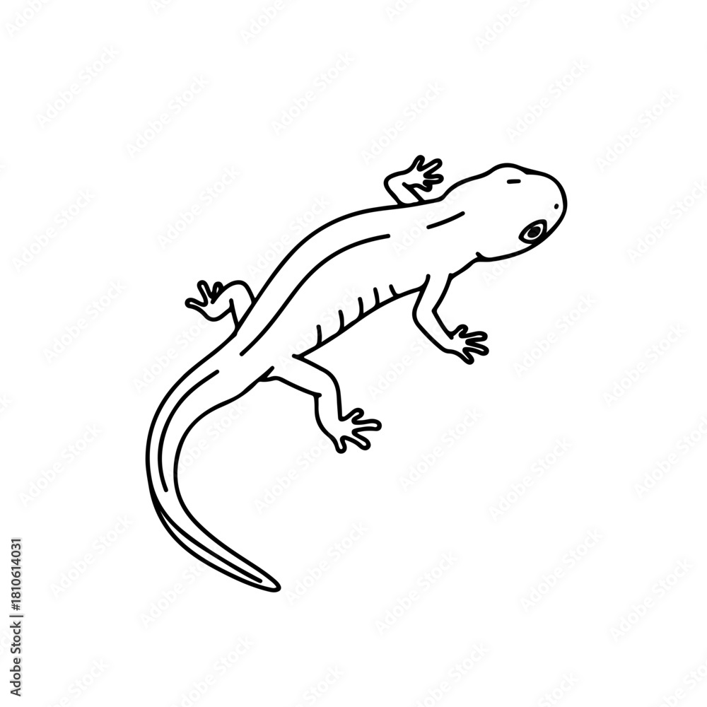 Fototapeta premium Simple lizard gecko silhouette isolated illustration, minimal black line animal reptile drawing vector design