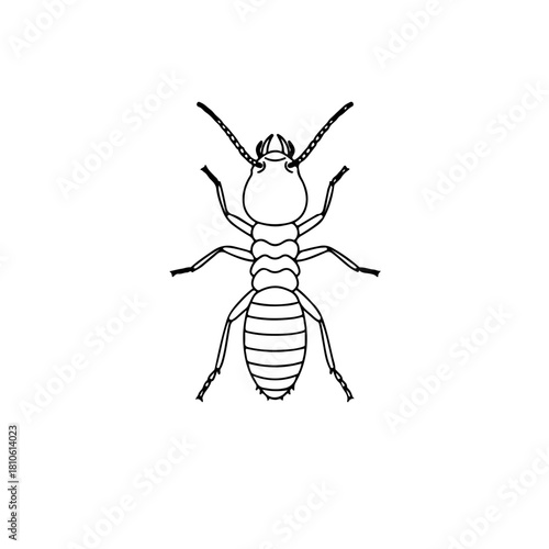 Termite insect vector black outline illustration for educational entomology, pest control, and environmental design uses