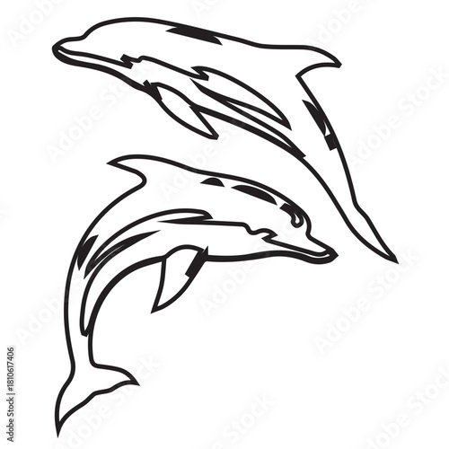 Dolphins Illustration