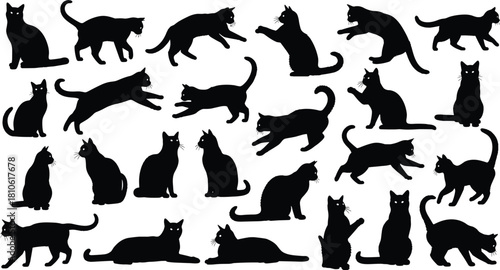 Black cat silhouettes, feline poses, animal behavior, pet movement, vector illustration, walking cat, jumping cat, stretching cat, playful kitten, design element