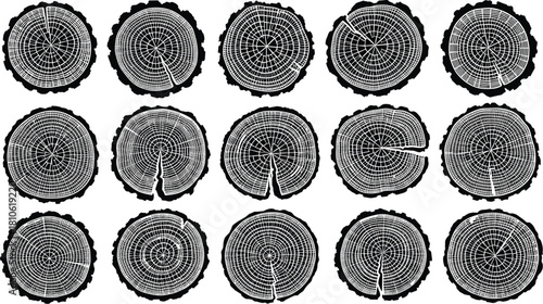 Tree rings cross sections showing detailed annual growth patterns, natural wood textures, dendrochronology slices, organic circular designs, forestry scientific study imagery