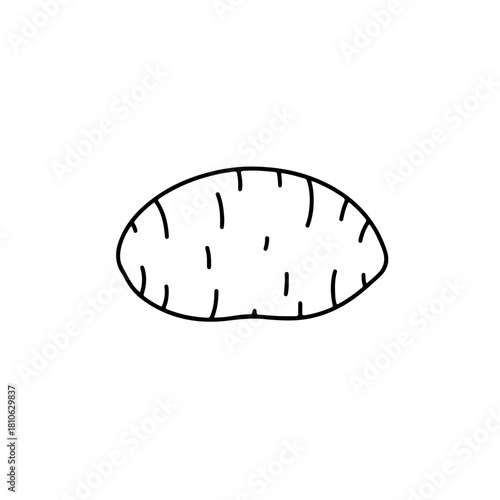 Whole bread bun outline icon sketch, minimal hand drawn bakery illustration vector isolated