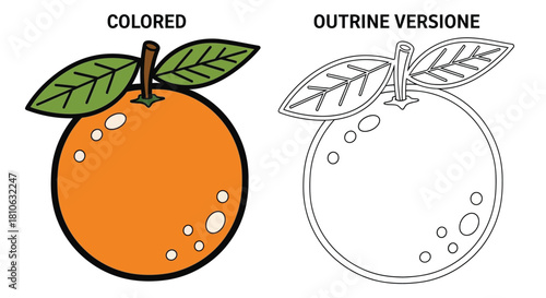 Orange fruit with leaves, colored and outline version, illustration.